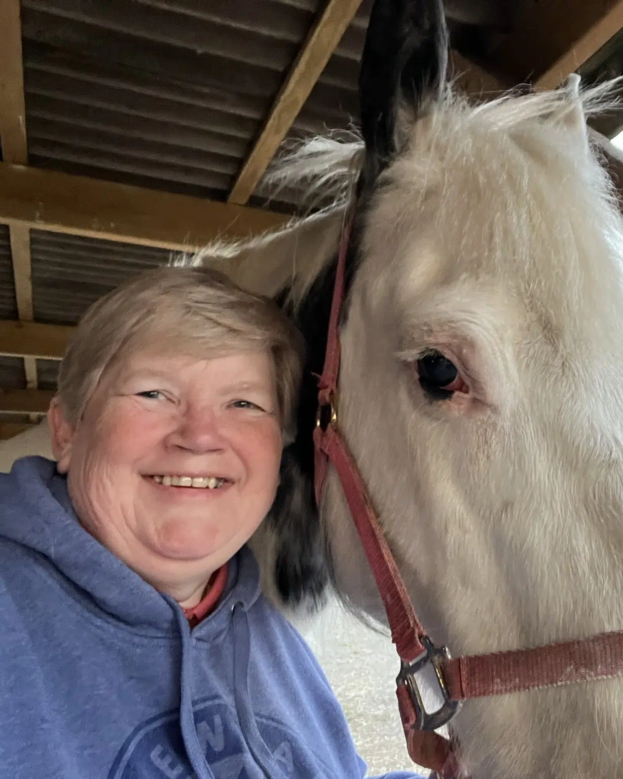 Sue Hill standing with a horse in a peaceful outdoor setting