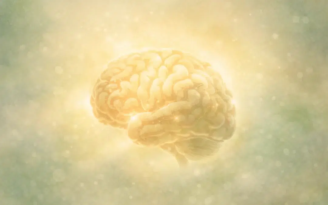 How Trauma Is Recorded in the Brain